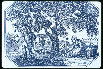Old woodcut of apple picking