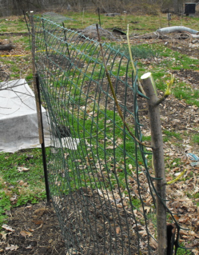 do it yourself trellis post extension