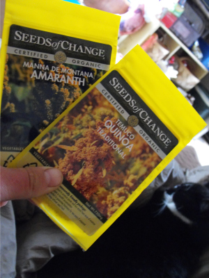 Amaranth and quinoa seeds