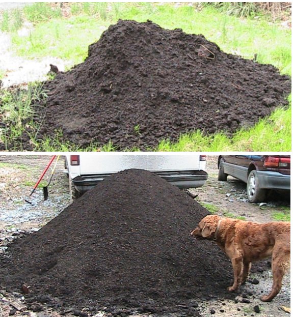 compost comparison