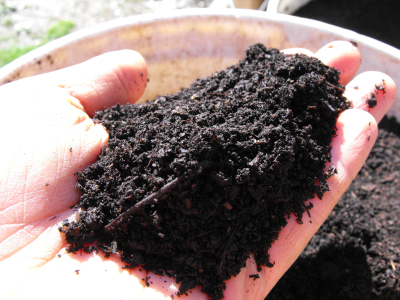 Handful of compost