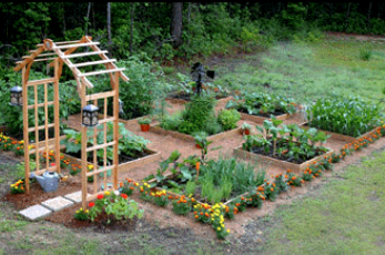 Square foot garden with arbor