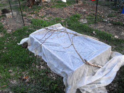 Cheap cold frame