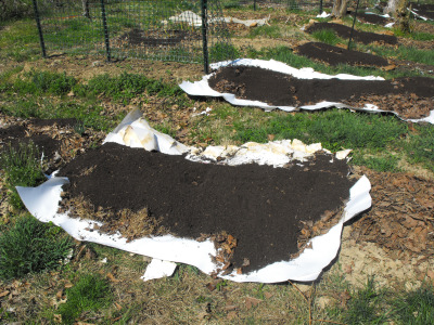 Raised bed built by lasagna method