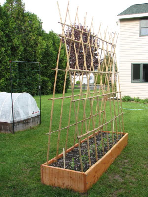 Trellis in a square foot garden