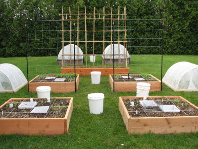 Square foot gardening with row covers