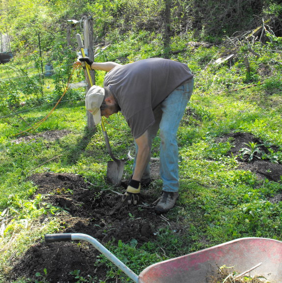 digging in the dirt