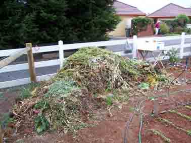 Steve Solomon's compost pile