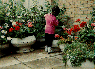Child watering flowers in tire planters