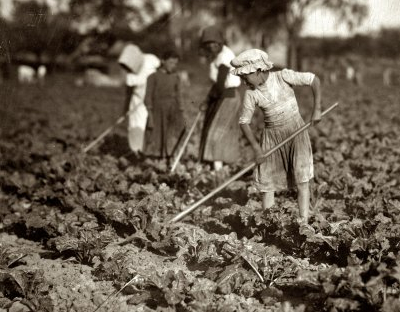 Hoeing a garden