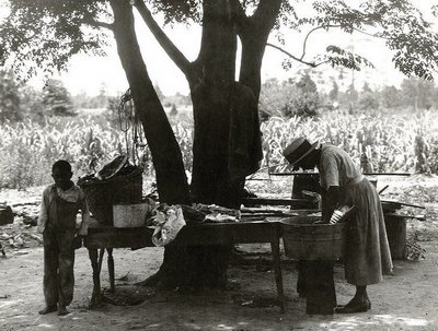 Working outside under a shade tree