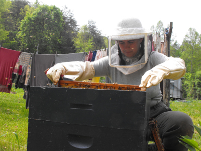 Hive inspection