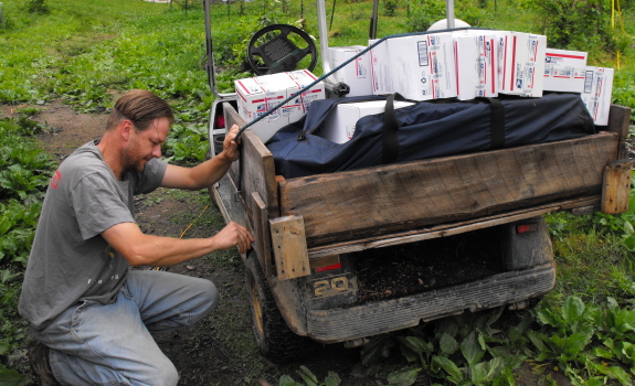 golf cart dump box tie down