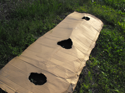 Cardboard mulch