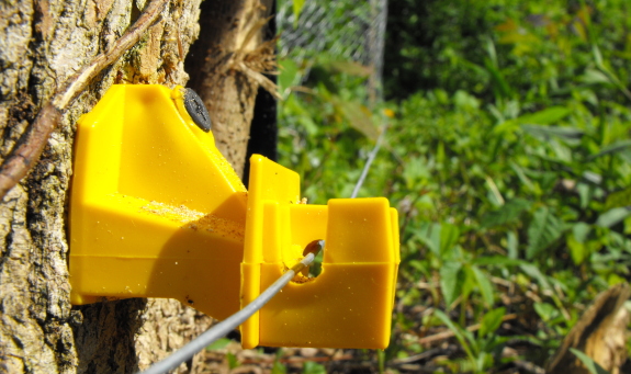 close up of electric fence insulator