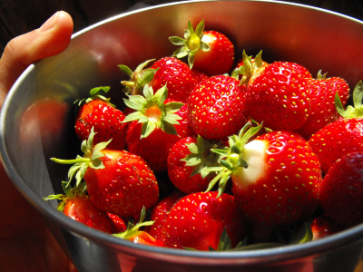 Bowl of strawberries