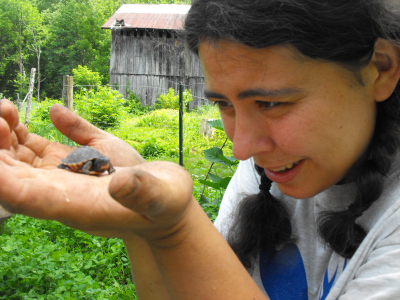 Looking at a baby turtle