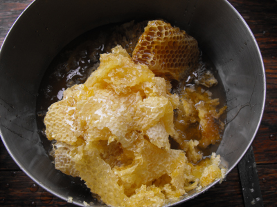 Honey comb in a bowl