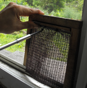 next diy pet door detail