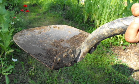 shovel Jackson closeup