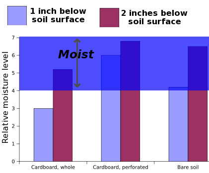 Chart of soil moisture under cardboard mulch