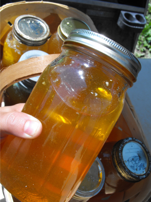 Jars of honey