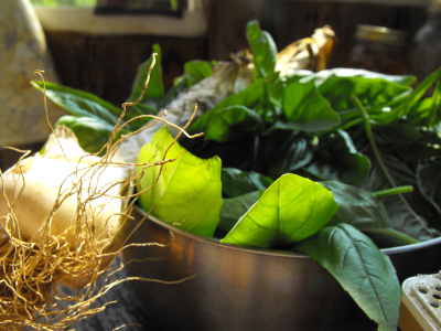 Bowl of basil with garlic