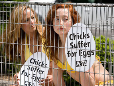 PETA protesting eggs