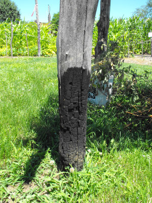 Charred base of post to protect from rot and insects