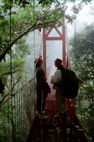 Monteverde canopy bridge