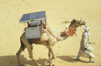 Solar powered camel refrigeration