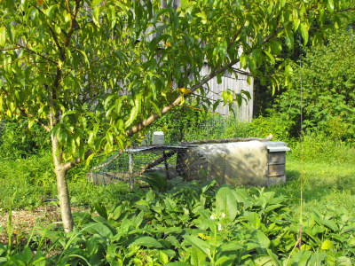 Empty chicken tractor