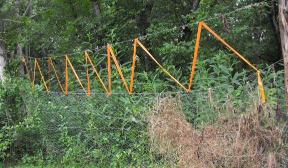 deer fence to deter the invaders