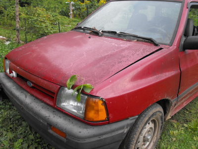 Ford Festiva going off road