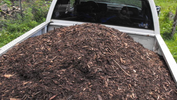 close up of truck load of mulch