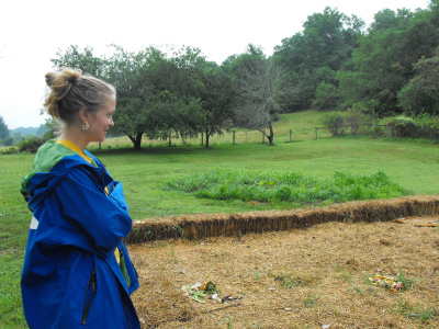 Straw mulched garden