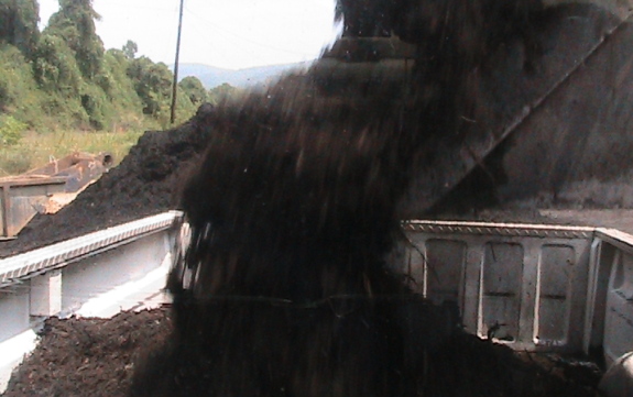 aged oak mulch