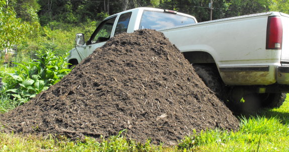 mulch pile