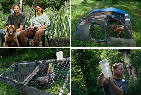 automatic chicken waterer profile