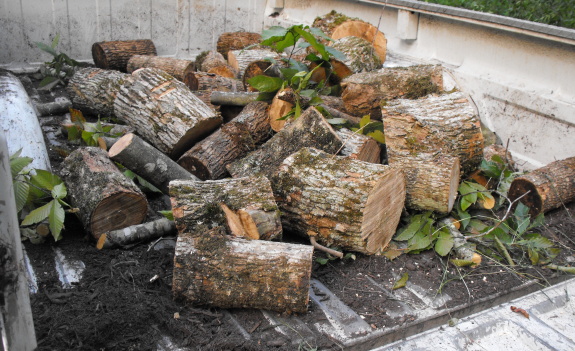 truckload of firewood