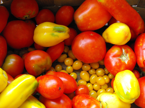 A bigger basket of tomatoes