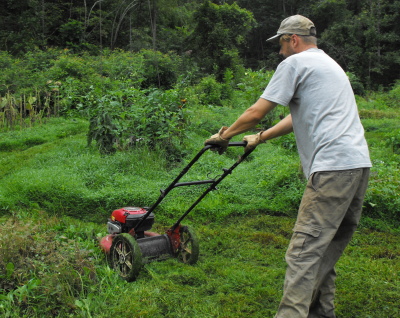 backyard mowing