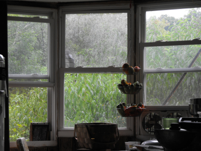 Rainy afternoon outside the kitchen window