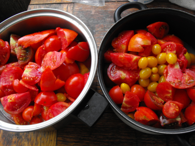 Pots of tomatoes