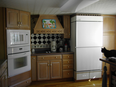 Energy star appliances in the kitchen