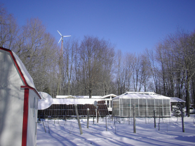 Zimmy's off grid home in the snow