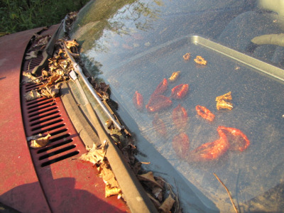 Automotive dehydrator