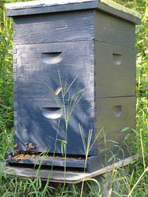 Double deep hive