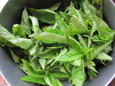 Bowl of basil