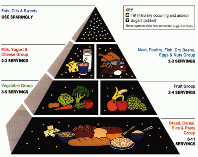 USDA food pyramid